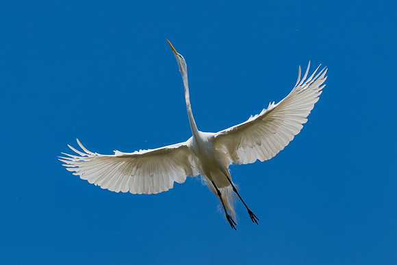 _DSC1923-Edit