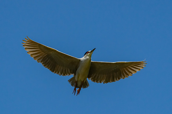 _DSC4778-Edit