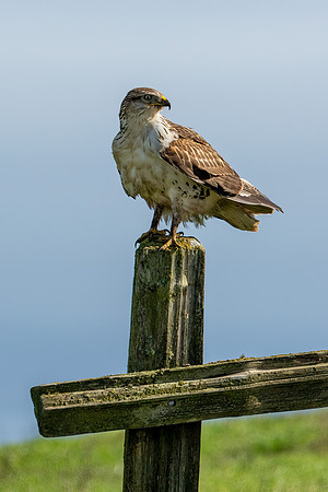 _DSC1016-Edit