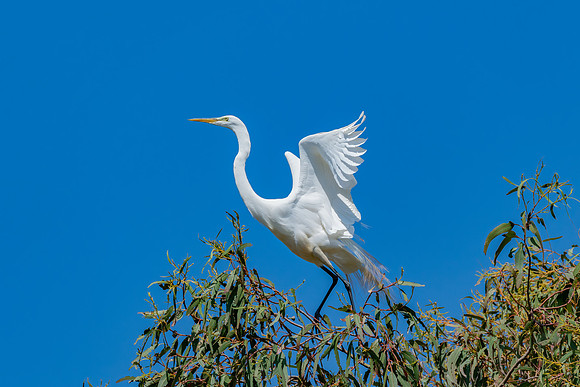 _DSC5006-Edit