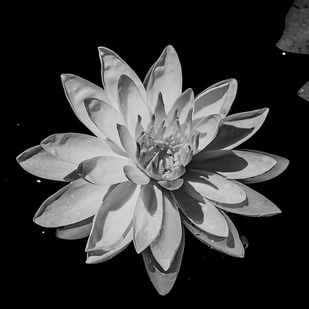 _DSC9887