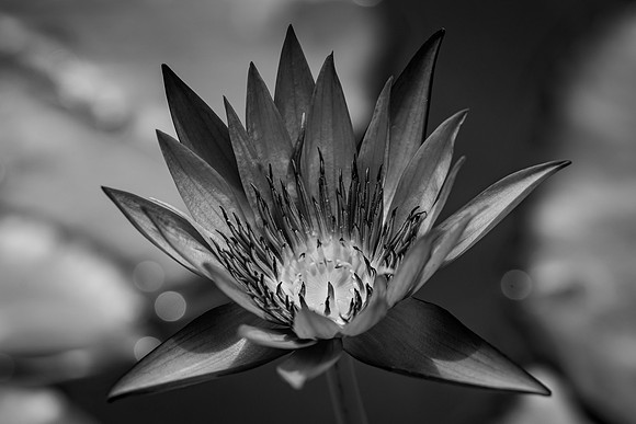 _DSC9866-2