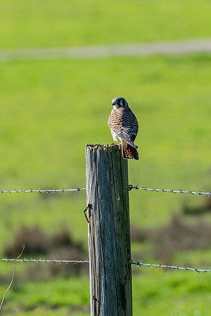 _DSC1516-Edit