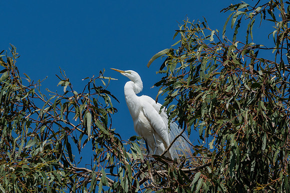 _DSC4548-Edit