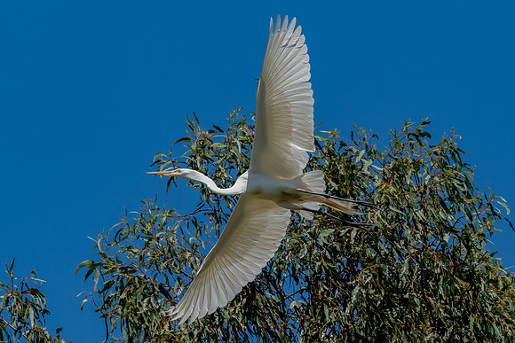 _DSC7610-Edit