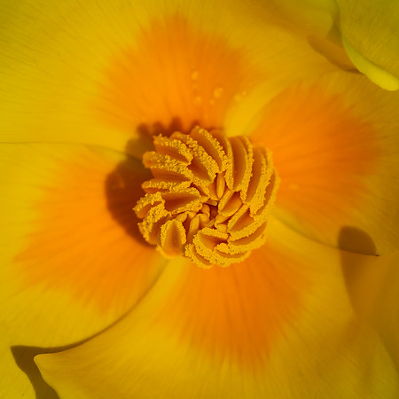 _DSC7083-Edit