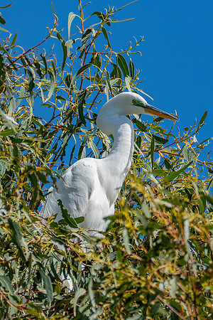_DSC1842-Edit