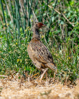 _DSC9200-Edit