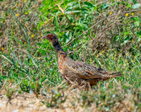 _DSC9207-Edit