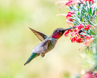_DSC3676-Edit