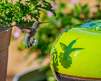 _DSC3124-Edit