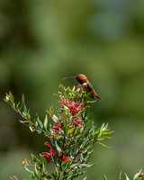 _DSC3751-Edit