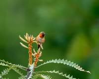 _DSC7571-Edit