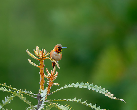 _DSC7571-Edit