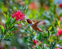 _DSC3399-Edit