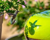 _DSC3125-Edit