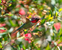 _DSC3375-Edit