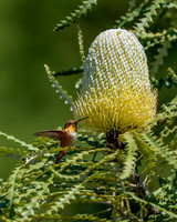 _DSC3526-Edit
