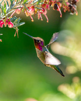 _DSC3657-Edit