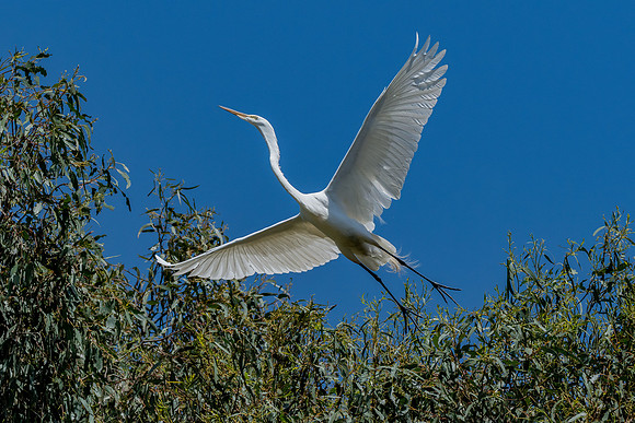 _DSC7607-Edit