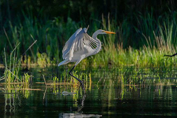 _DSC4470-Edit