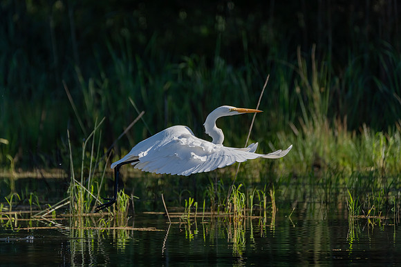 _DSC4469-Edit