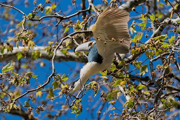 _DSC1801-Edit