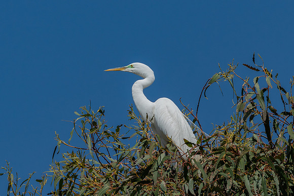 _DSC4586-Edit