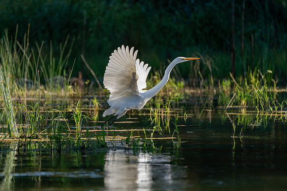 _DSC4463-Edit