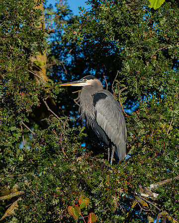 _DSC3665-Edit