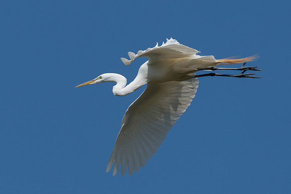 _DSC4616-Edit