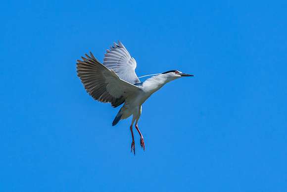 _DSC4649-Edit