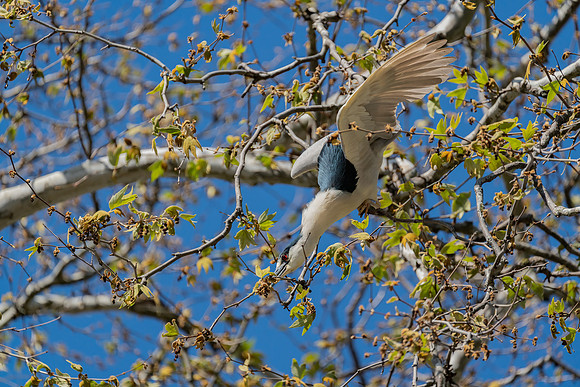 _DSC1800-Edit