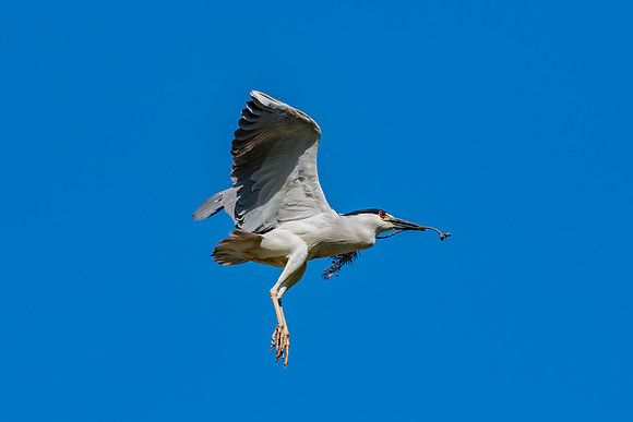 _DSC4870-Edit