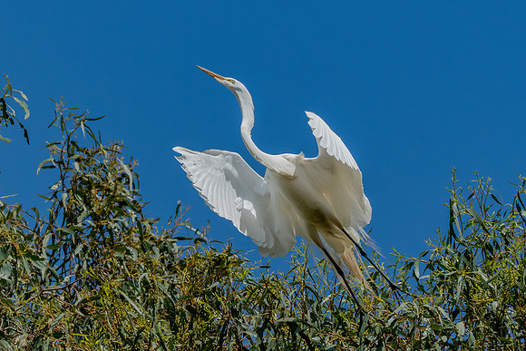 _DSC7606-Edit
