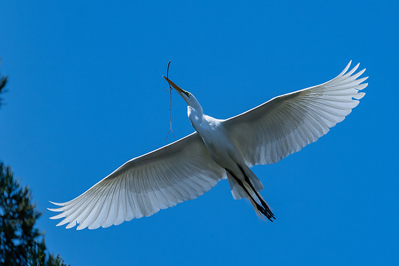 _DSC4855-Edit