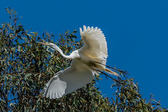 _DSC7609-Edit