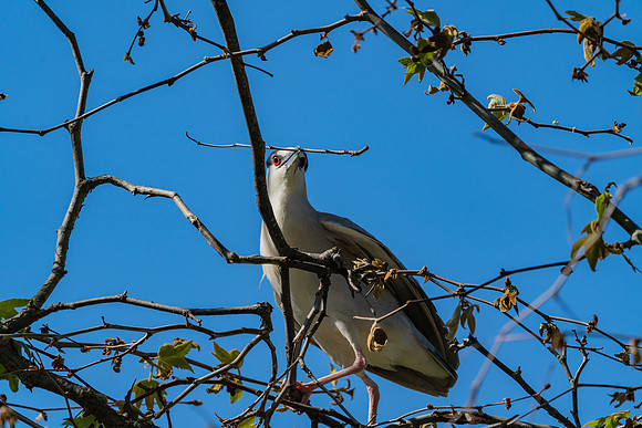 _DSC1812-Edit-3
