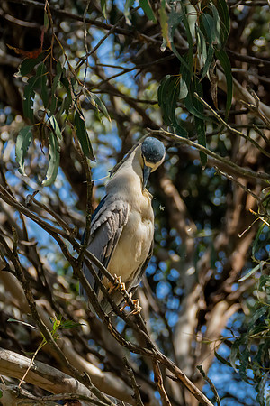 _DSC4838-Edit