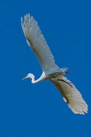 _DSC4807-Edit