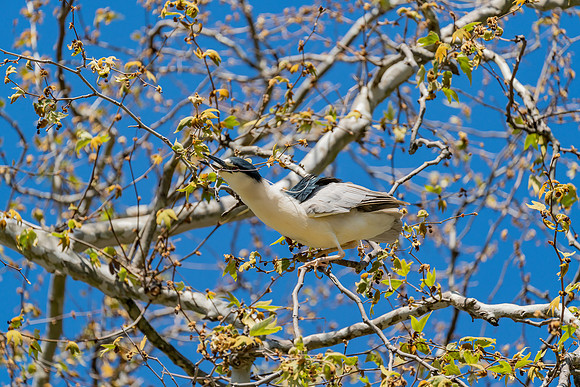_DSC1791-Edit