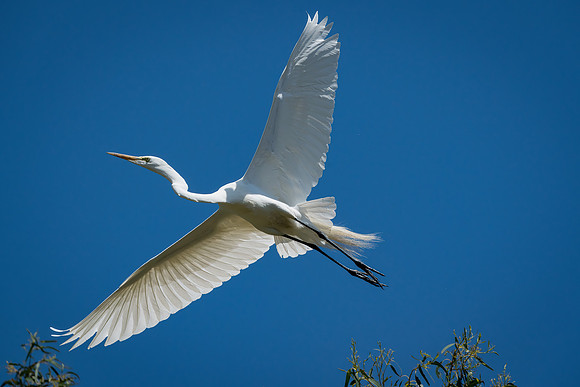 _DSC7598-Edit