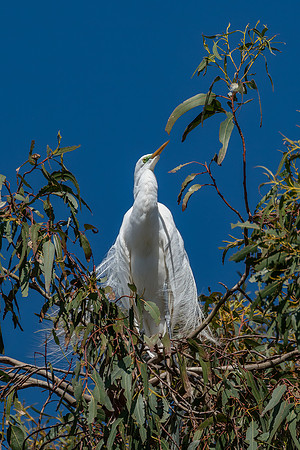_DSC1878-Edit-3