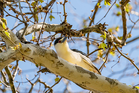 _DSC1874-Edit