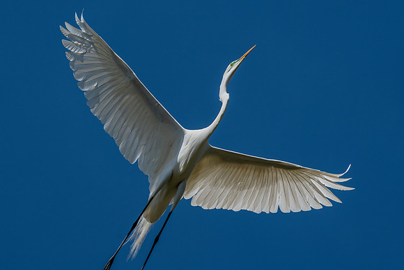 _DSC4863-Edit