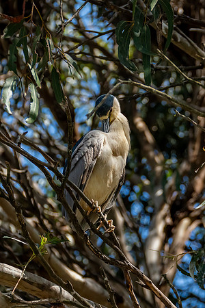 _DSC4839-Edit