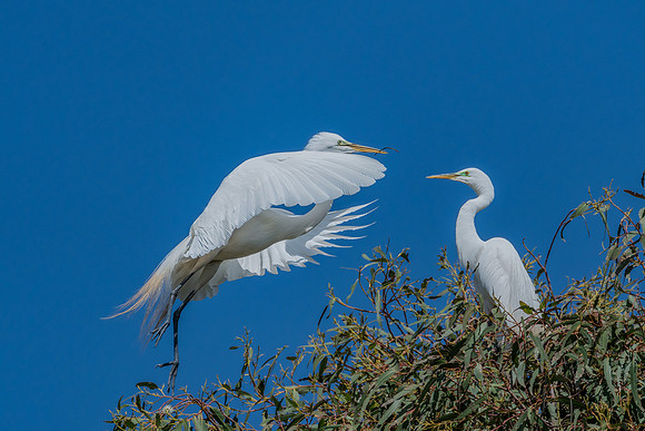 _DSC4602-Edit