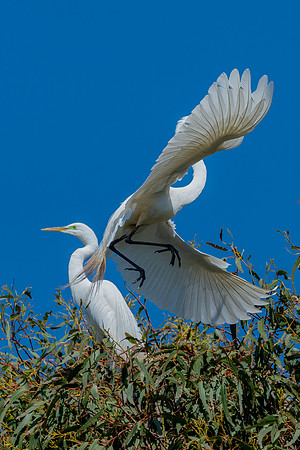 _DSC4604-Edit