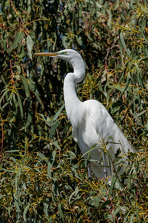 _DSC1868-Edit