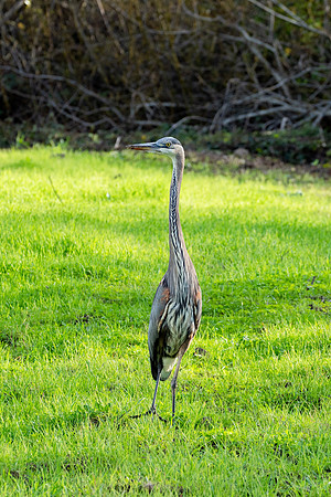 _DSC1878-Edit